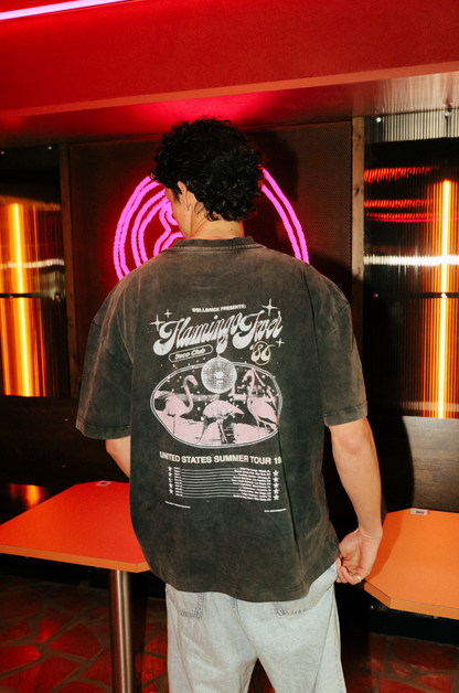 Flamingo Fever Disco Club