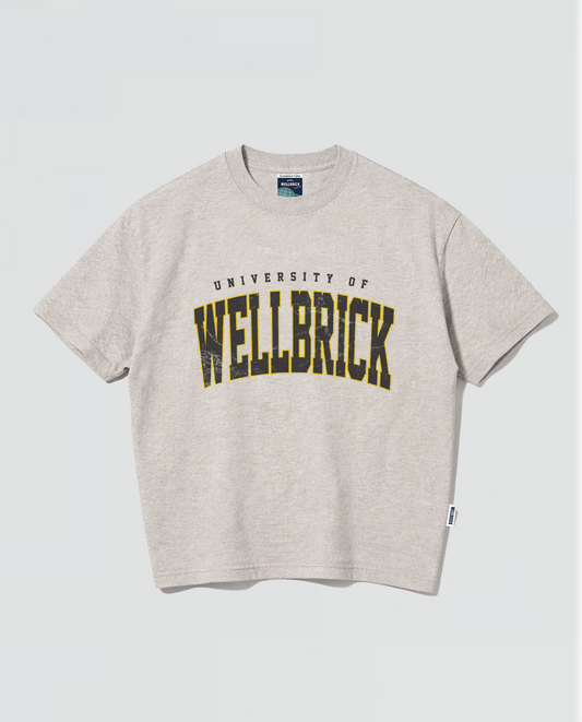 University of Wellbrick
